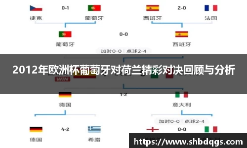 2012年欧洲杯葡萄牙对荷兰精彩对决回顾与分析